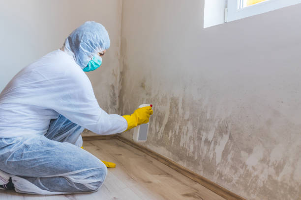 Licensed Bathroom Mold Removal service in Dendron, VA - WQB Mold Removal
