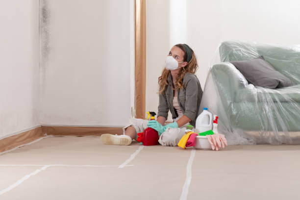 Reliable Bathroom Mold Removal contractor in Dendron, VA by WQB Mold Removal